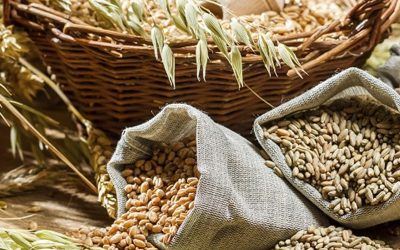 Food Management