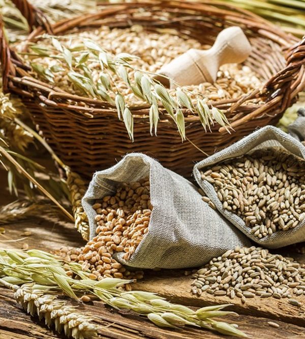 Grains